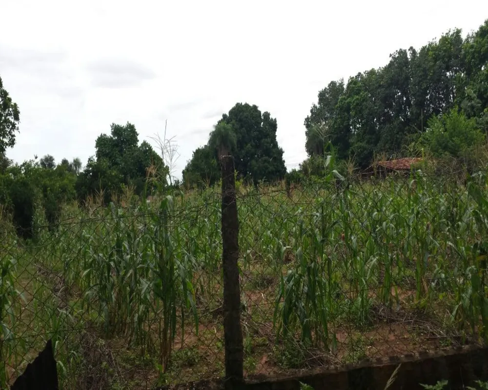 Terreno, 5000 m² - Foto 8