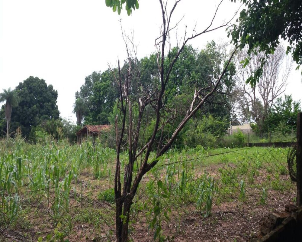 Terreno, 5000 m² - Foto 3