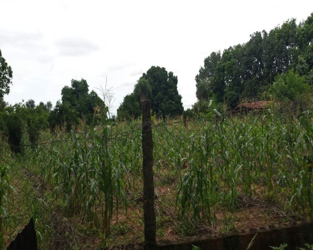 Terreno, 5000 m² - Foto 4