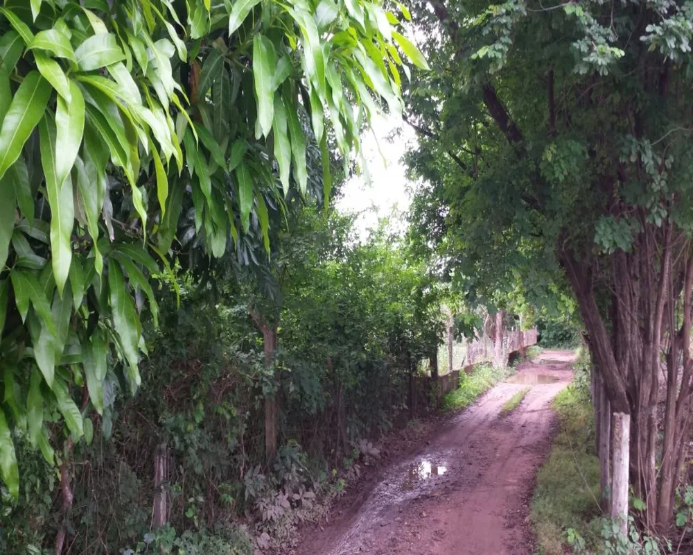 Terreno, 5000 m² - Foto 1