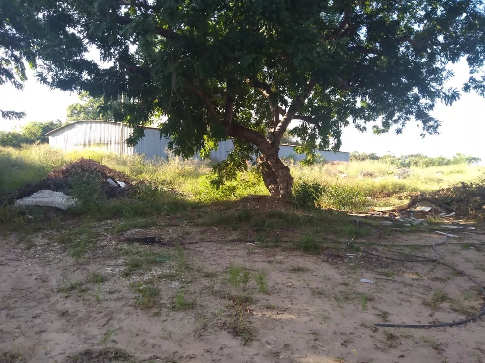 Depósito-Galpão, 3500 m² - Foto 4