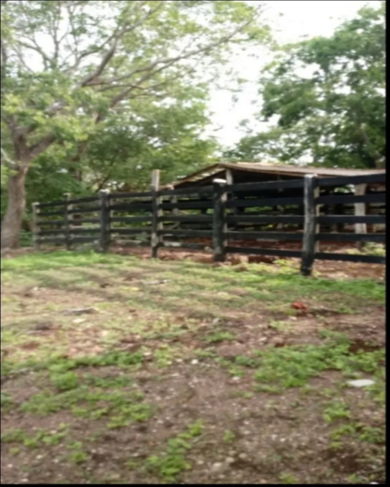 Fazenda, 7 quartos - Foto 5