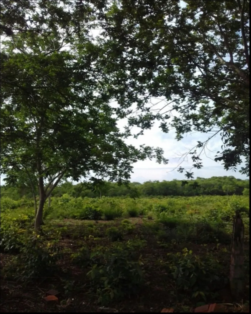 Fazenda, 7 quartos - Foto 12