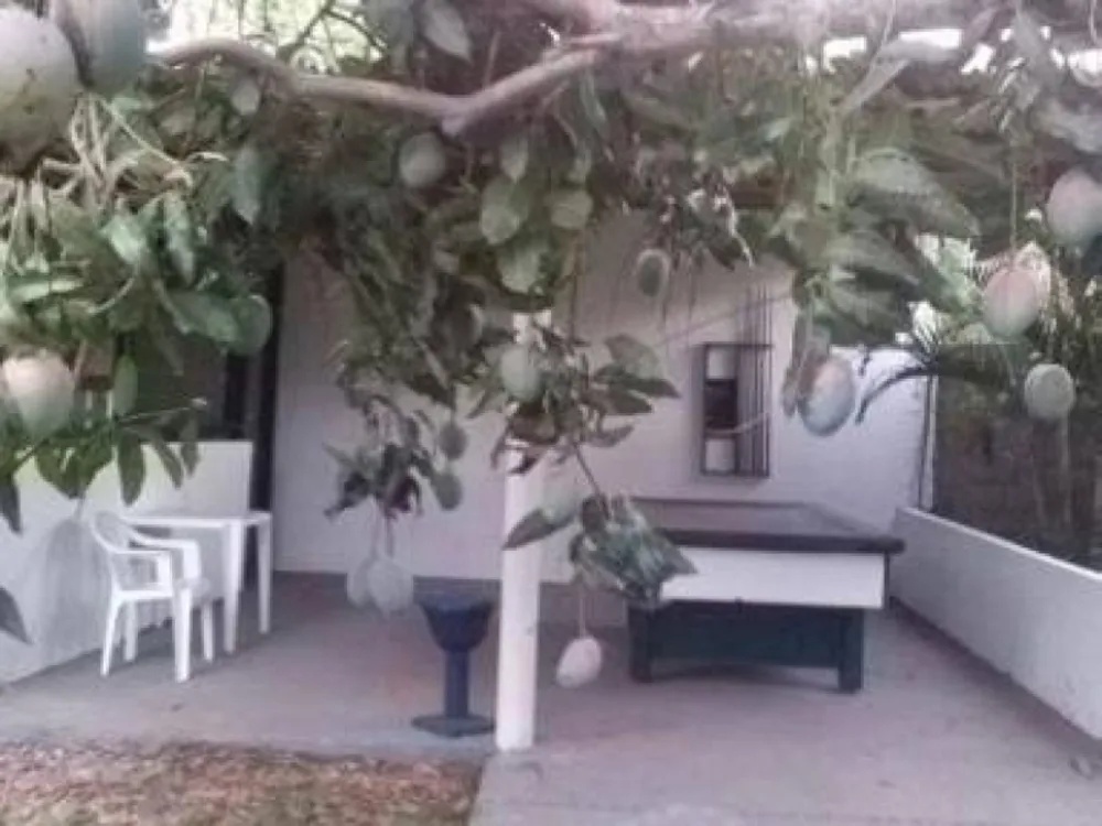 Fazenda, 3 hectares - Foto 3