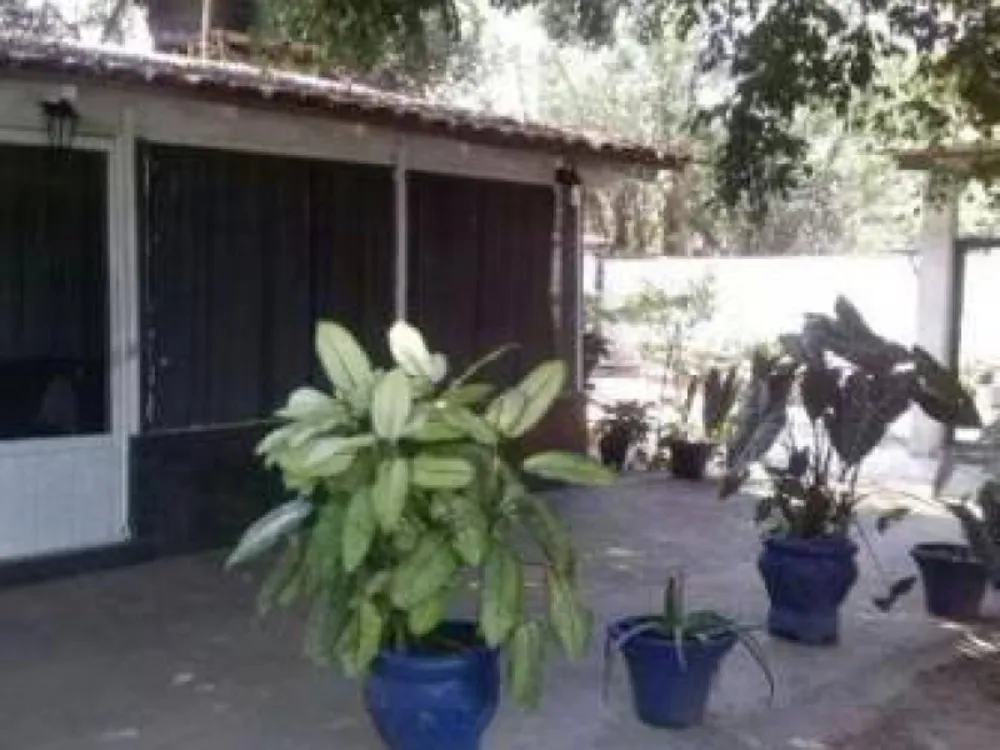Fazenda, 3 hectares - Foto 1