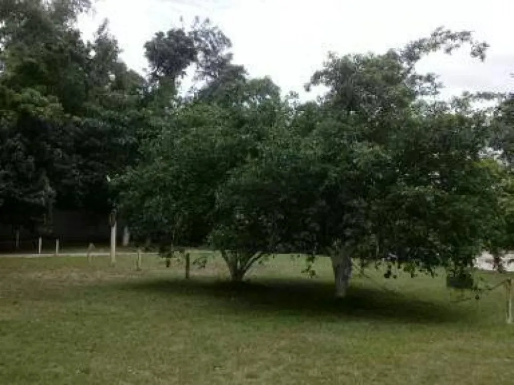 Fazenda, 3 hectares - Foto 8