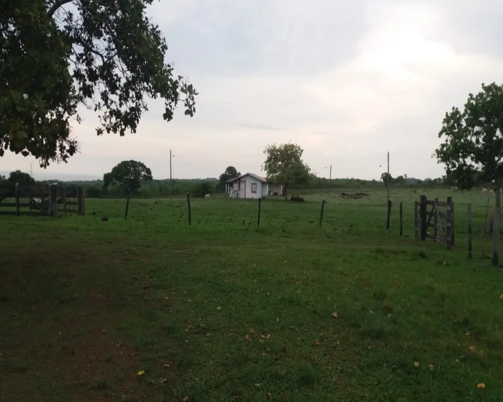 Chácara, 3 quartos, 50 m² - Foto 6
