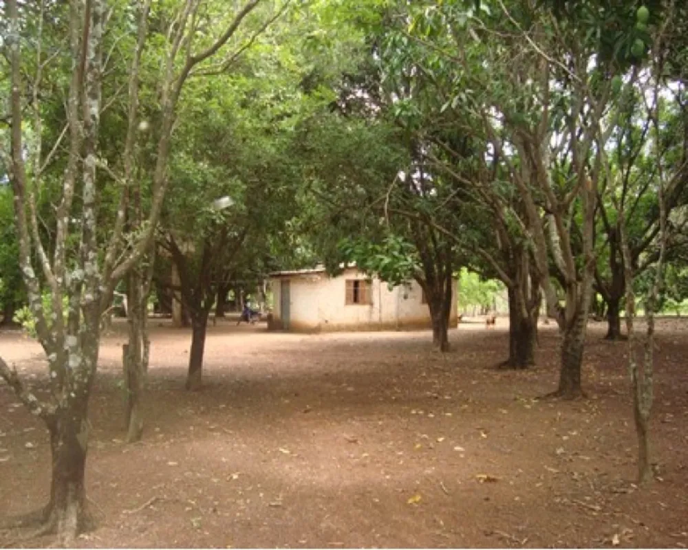 Chácara, 1 quarto, 1 m² - Foto 2