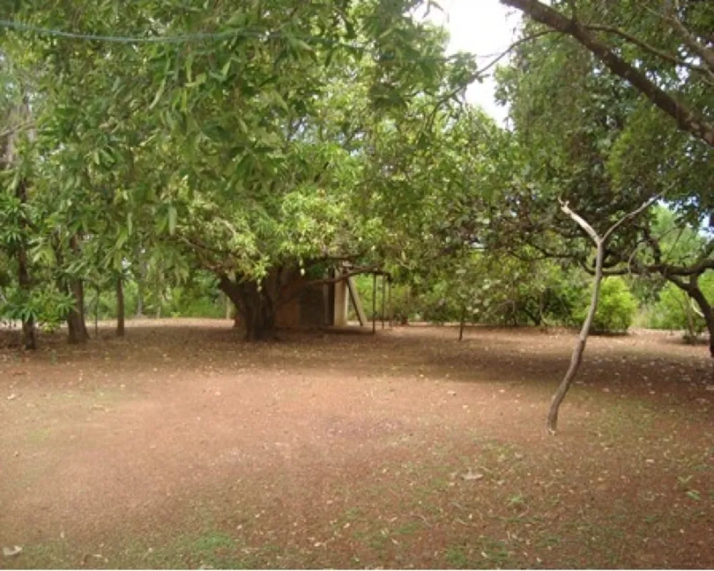 Chácara, 1 quarto, 1 m² - Foto 3