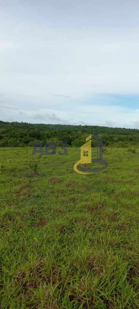 Fazenda-Sítio-Chácara, 1409 m² - Foto 6