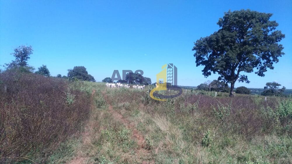 Fazenda-Sítio-Chácara, 1409 m² - Foto 12