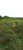 Fazenda-Sítio-Chácara, 1409 m² - Foto 5