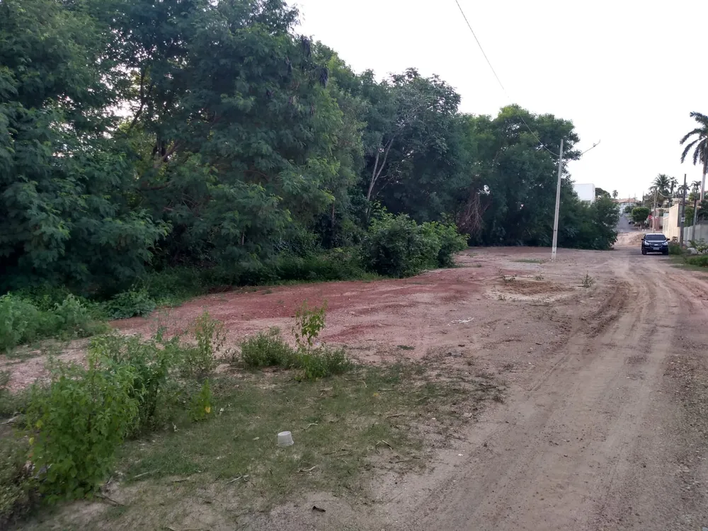 Terreno - Foto 8