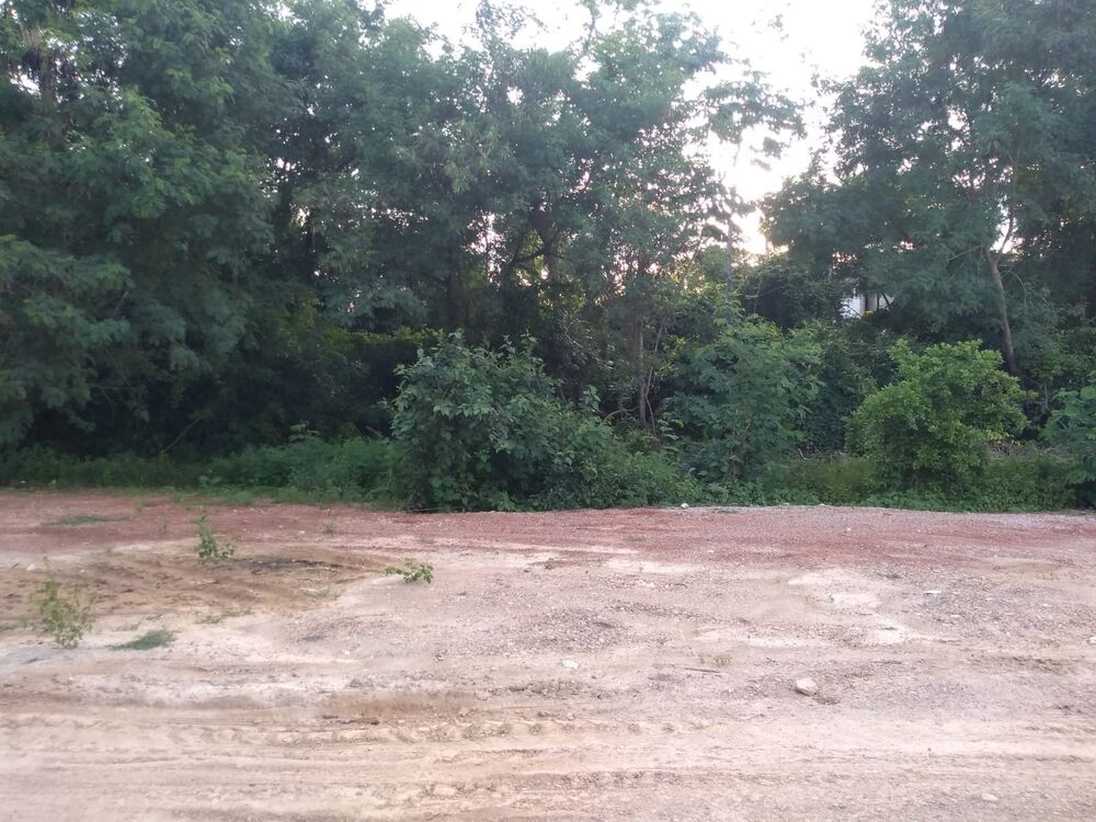 Terreno à venda - Foto 1