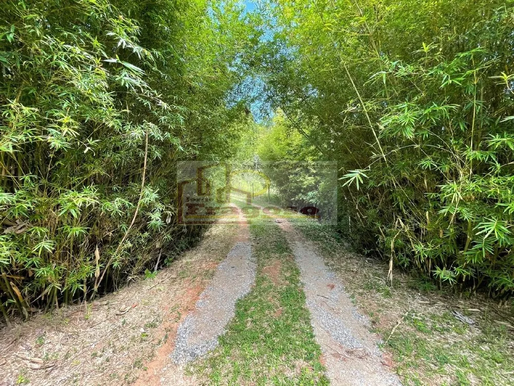 Sítio, 5 quartos, 13 hectares - Foto 24