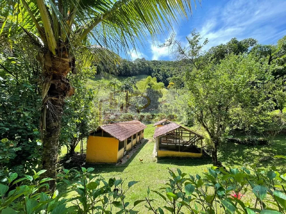 Sítio, 5 quartos, 13 hectares - Foto 21
