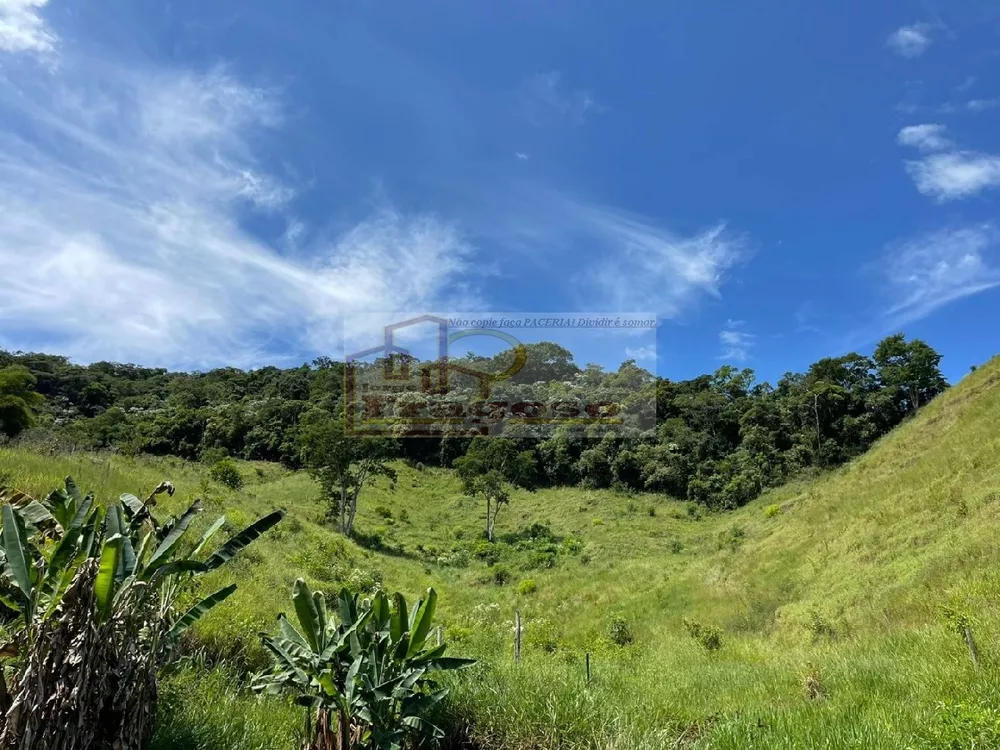 Sítio, 5 quartos, 13 hectares - Foto 18