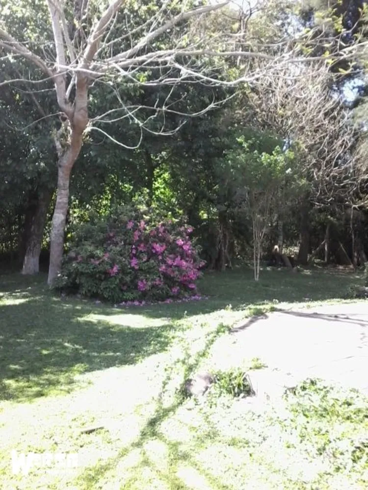 Fazenda, 2 hectares - Foto 3