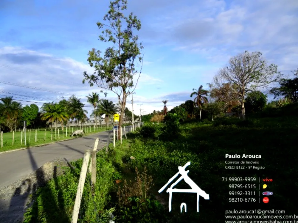 Terreno, 8212 m² - Foto 2