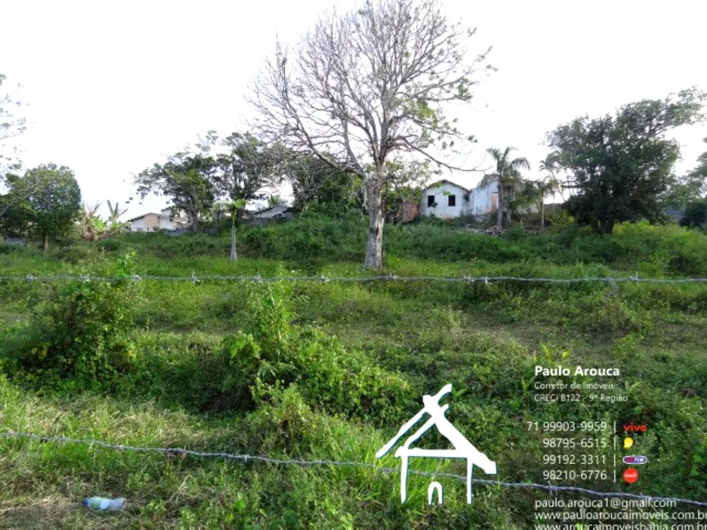 Terreno, 8212 m² - Foto 3