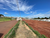Terreno, 250 m² - Foto 1