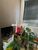 Apartamento, 2 quartos, 46 m² - Foto 7