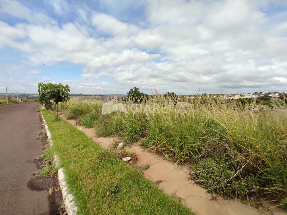 Terreno à venda, 250m² - Foto 3