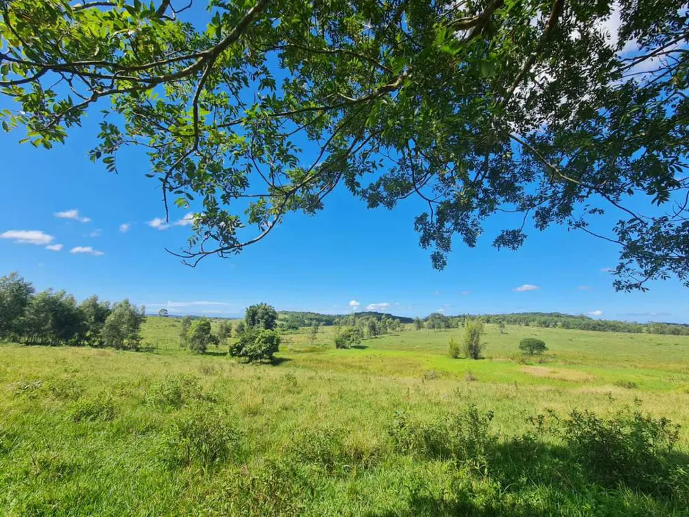 Fazenda, 126 hectares - Foto 10