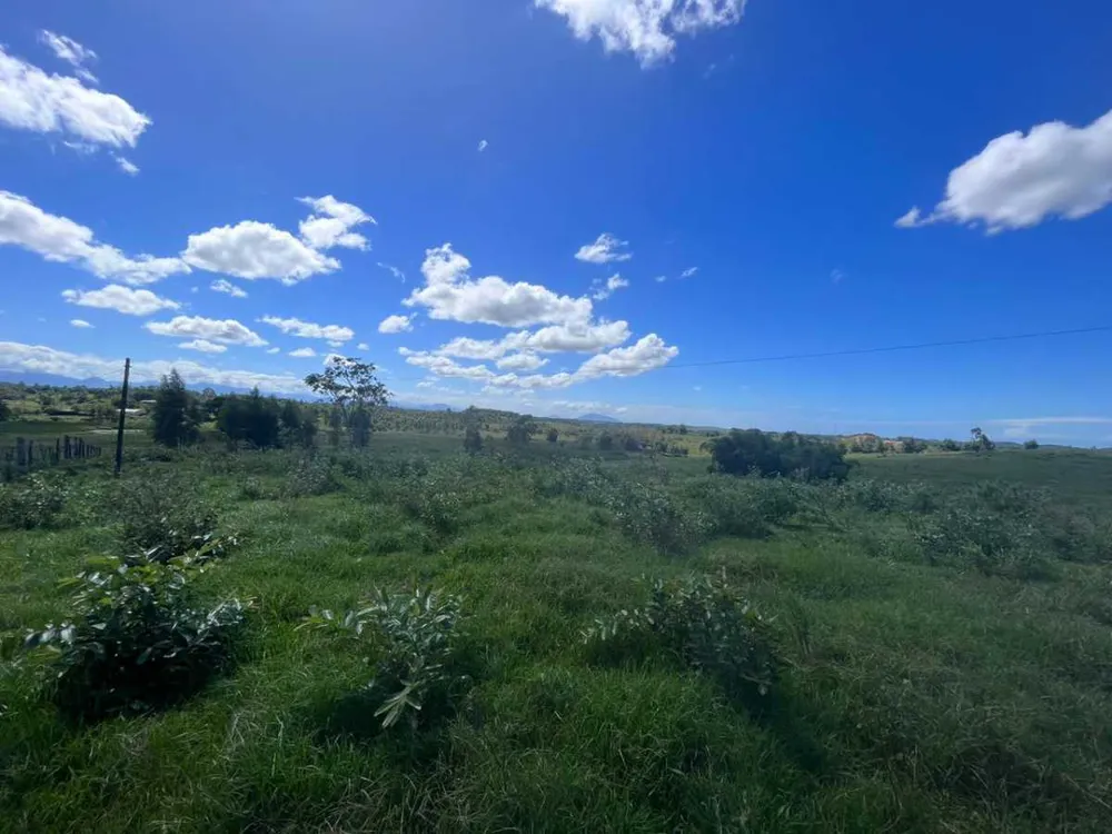 Fazenda, 126 hectares - Foto 11