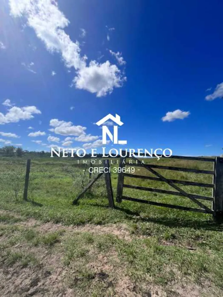Fazenda, 126 hectares - Foto 29