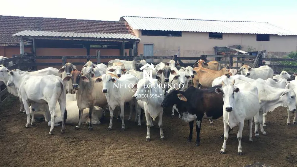 Fazenda, 126 hectares - Foto 3