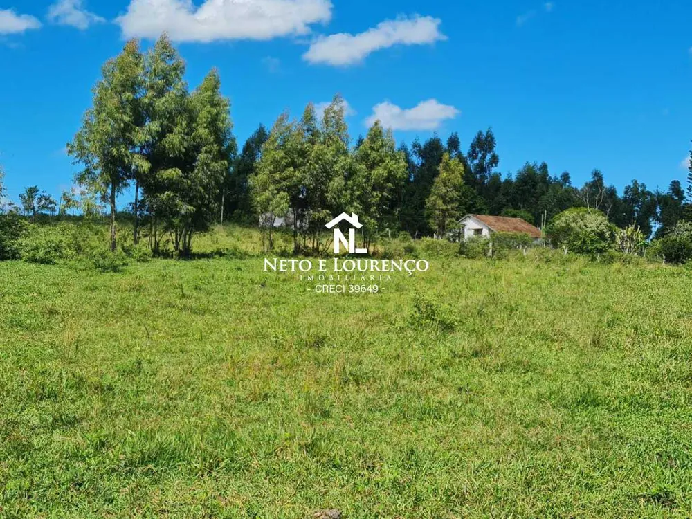 Fazenda, 126 hectares - Foto 17