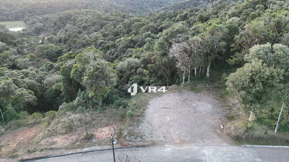 Chácara, 1 quarto, 2 hectares - Foto 3