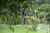 Terreno, 300 m² - Foto 5