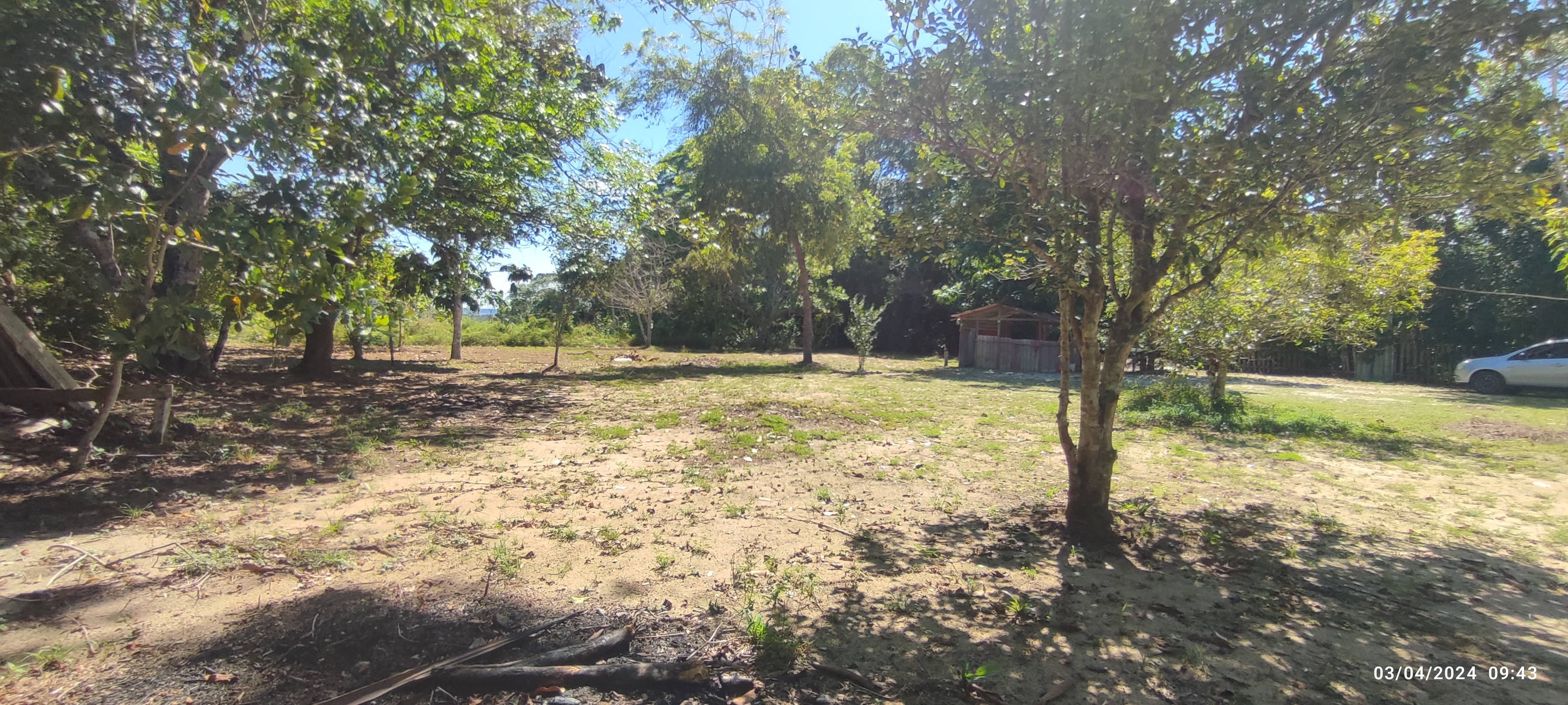 Chácara à venda com 1 quarto, 300m² - Foto 14