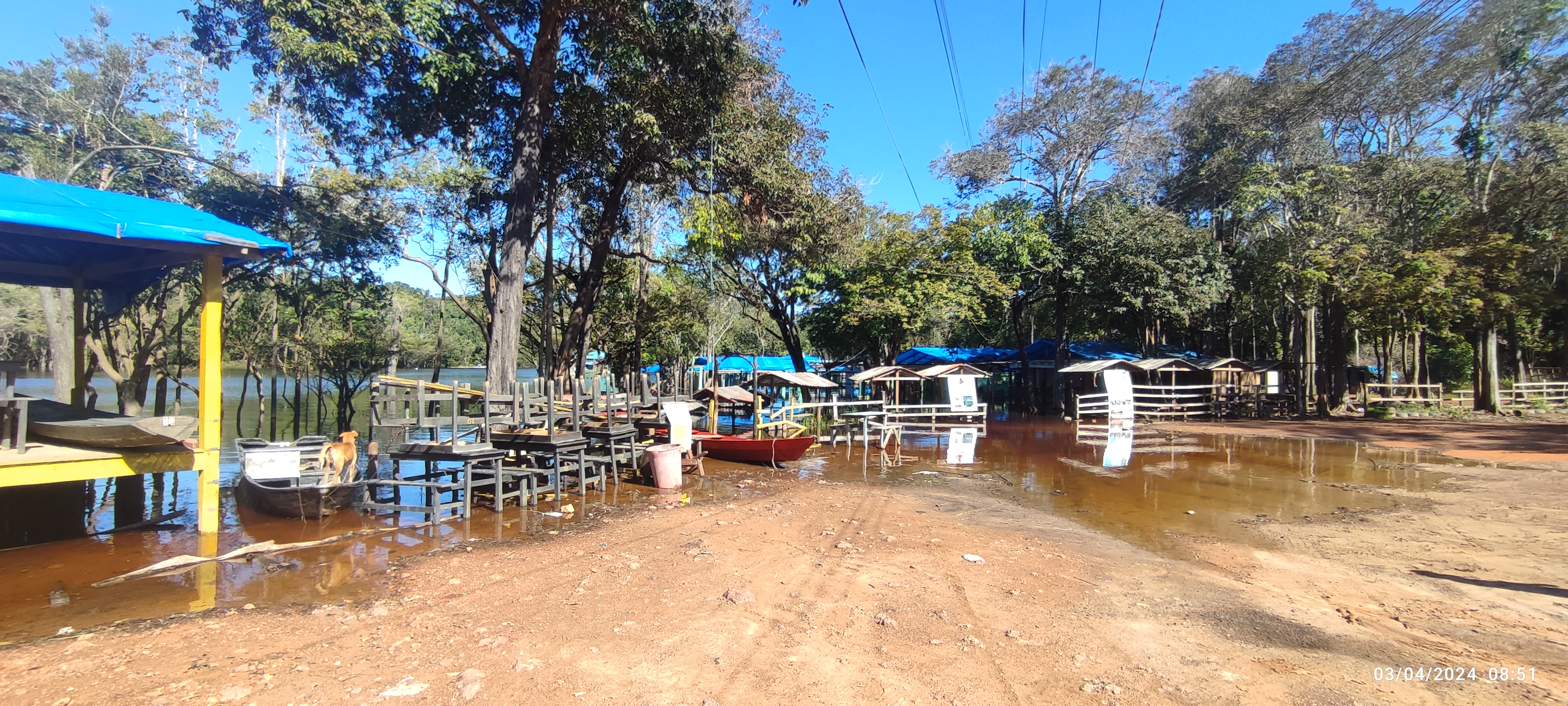 Chácara à venda com 1 quarto, 300m² - Foto 32