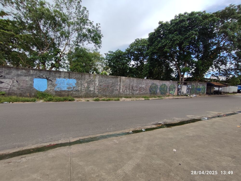 Terreno, 4527 m² - Foto 6