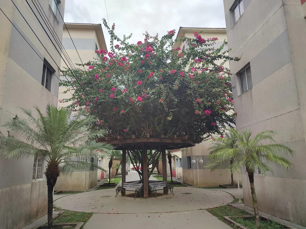 Apartamento, 3 quartos, 60 m² - Foto 10