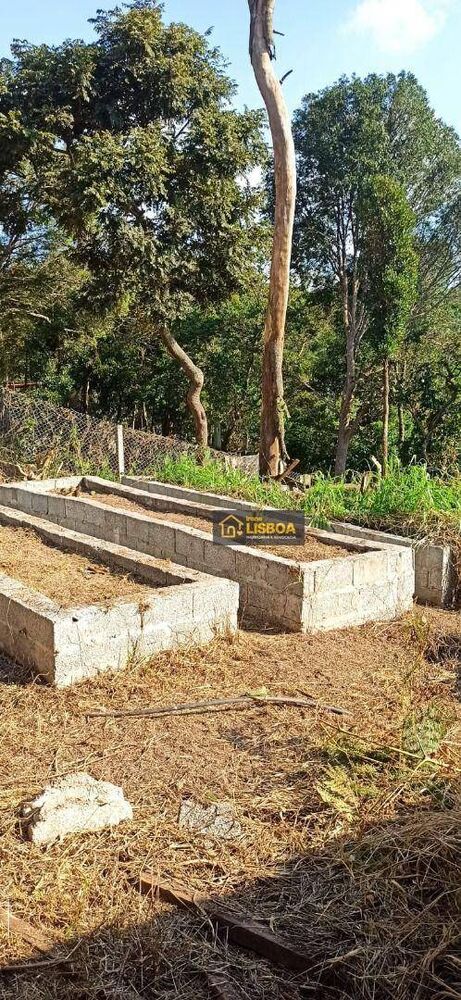 Chácara à venda com 1 quarto, 1500m² - Foto 2