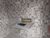 Sala-Conjunto, 40 m² - Foto 10