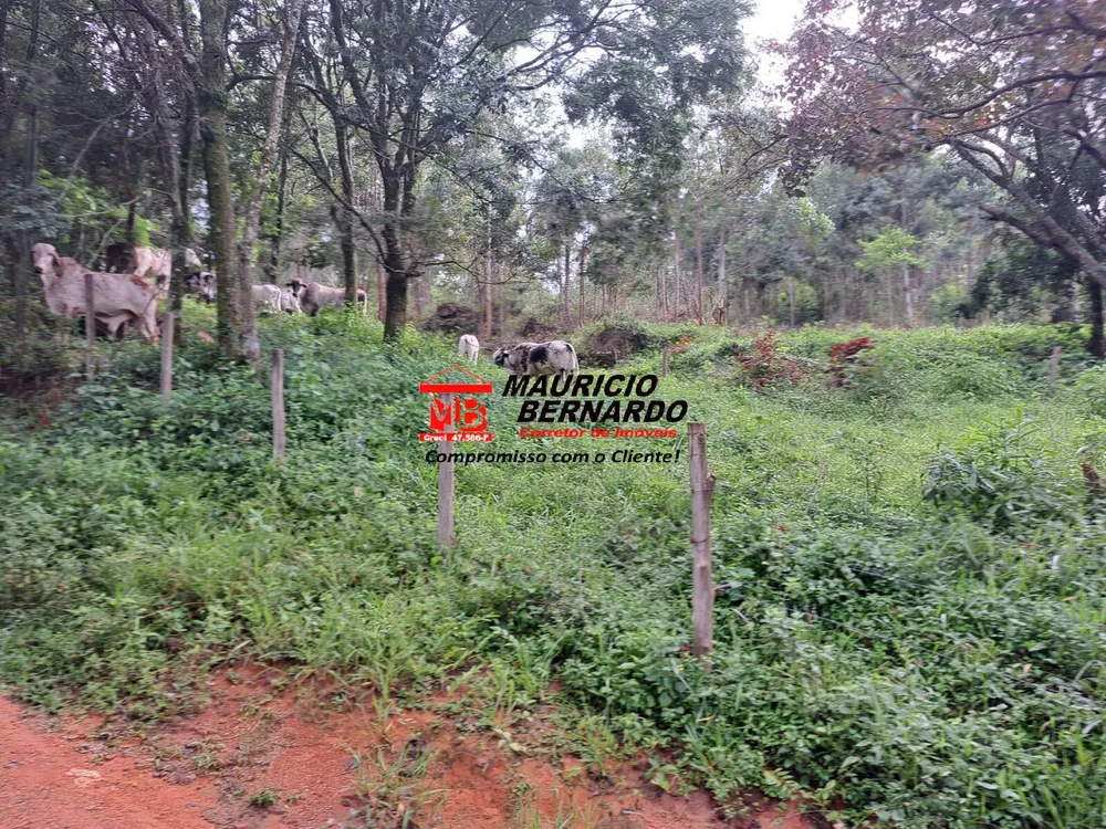 Terreno, 79 m² - Foto 4