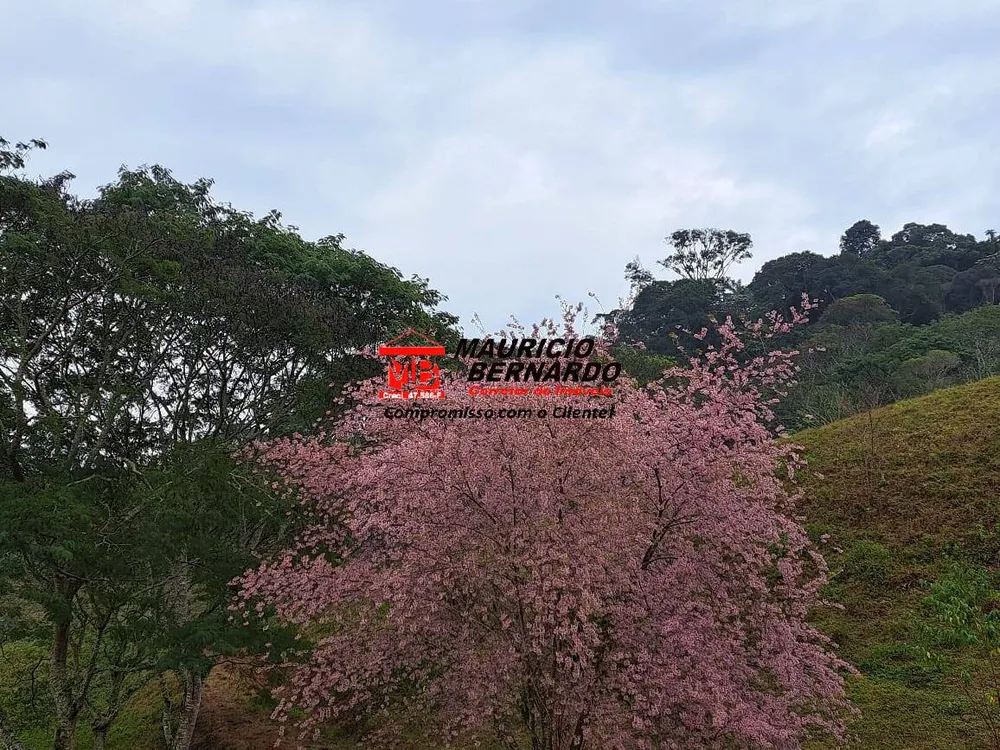 Terreno, 24 m² - Foto 6