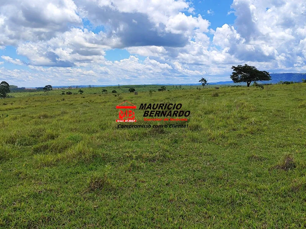 Terreno, 71 hectares - Foto 7