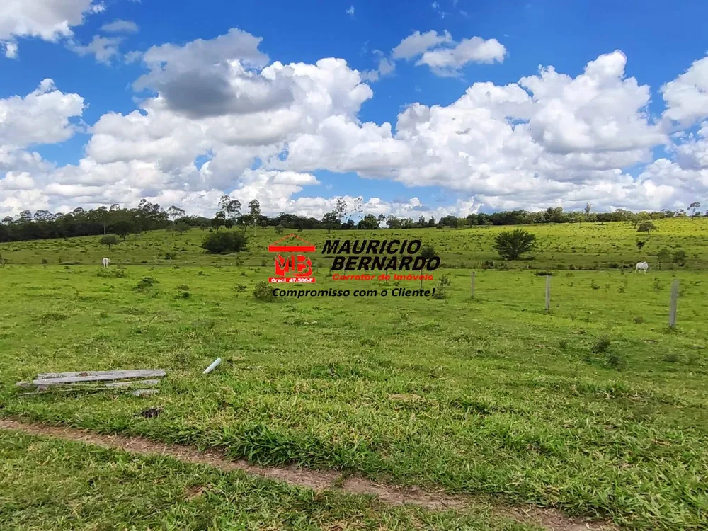 Terreno, 71 hectares - Foto 8