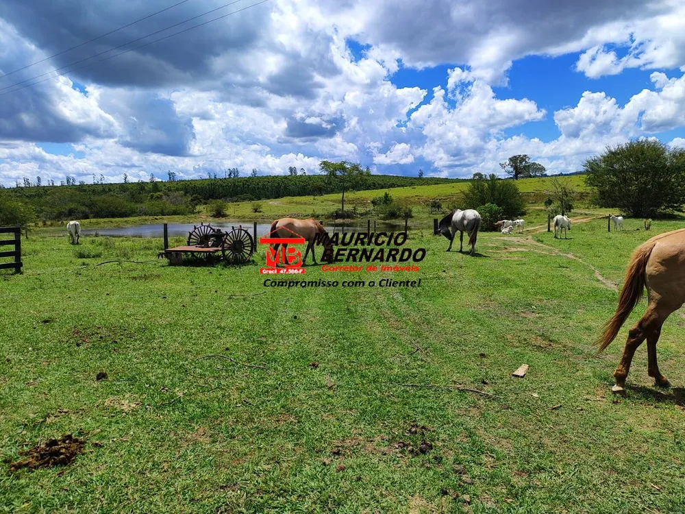 Terreno, 71 hectares - Foto 3