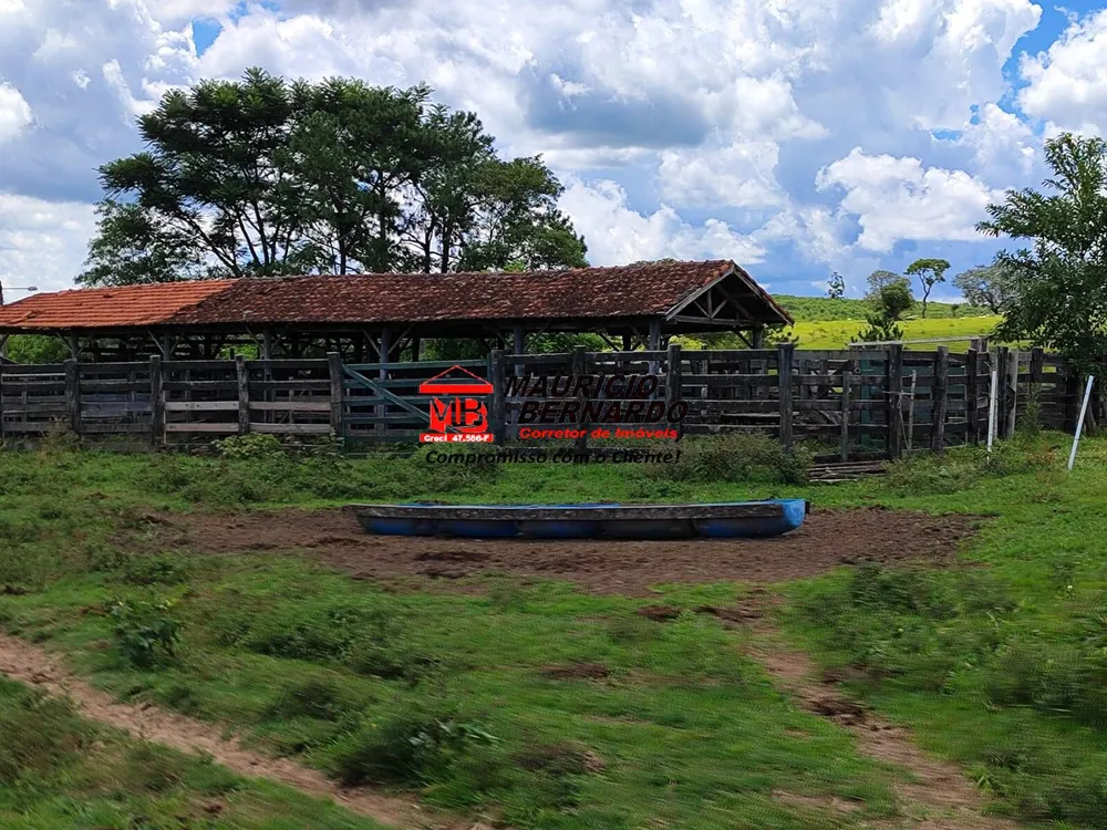 Terreno, 71 hectares - Foto 6