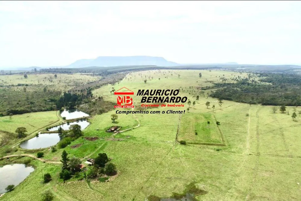 Terreno, 71 hectares - Foto 4