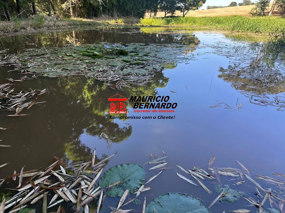 Fazenda, 66 m² - Foto 3