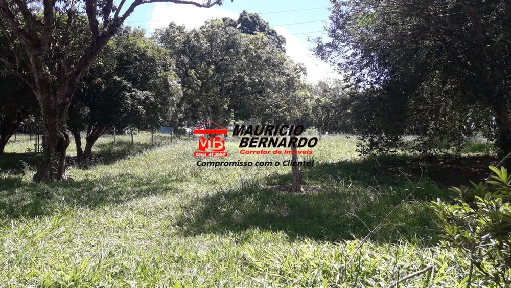 Terreno, 2 m² - Foto 5