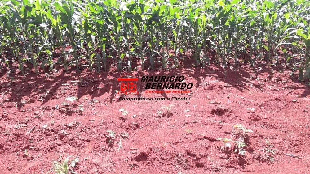 Terreno, 2 m² - Foto 14